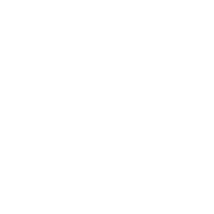 rice recipe icon